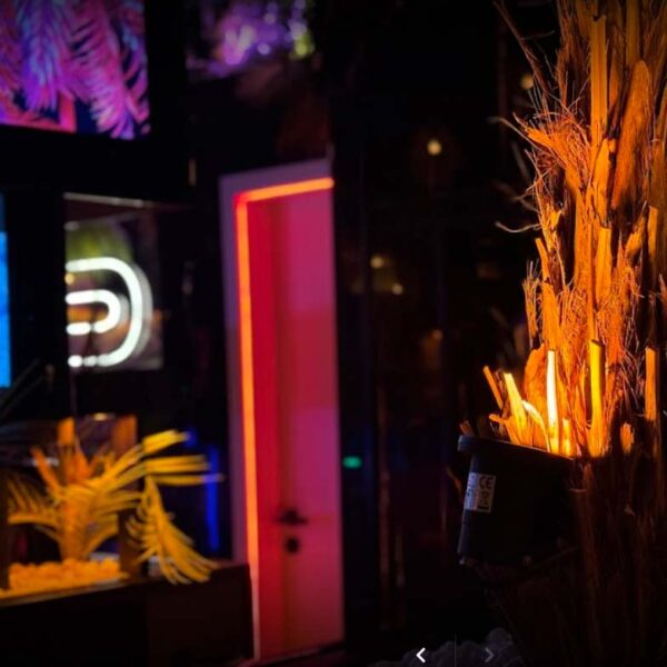 Warme Beleuchtung mit dekorativen Pflanzen in einer luxuriösen Shisha-Bar Hamburg.