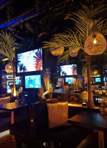 Die beste Shisha Bar in Hamburg! Luxuriös gestaltete Shisha Lounge Hamburg mit exotischen Pflanzen, bequemen Sitzgelegenheiten und stimmungsvoller Beleuchtung.