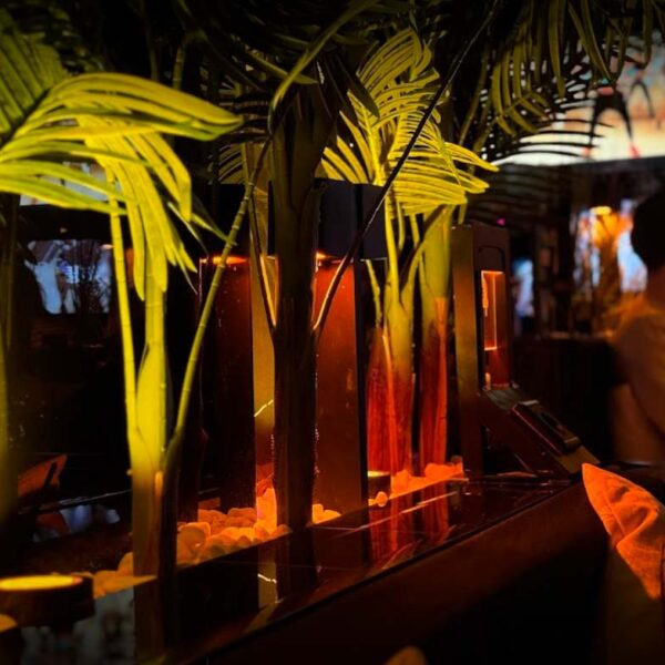 Tropische Pflanzen und stimmungsvolle Lampen in einer Shisha Lounge Hamburg.