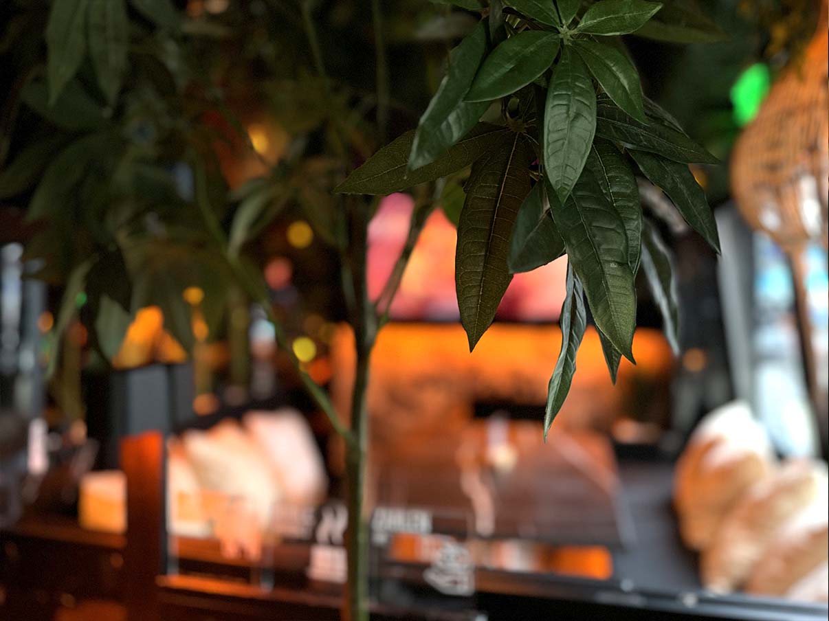 Grüne Blätter einer Zimmerpflanze hängen im Vordergrund, während im Hintergrund die Innenausstattung der shisha hafecity in warmem Licht verschwimmt.