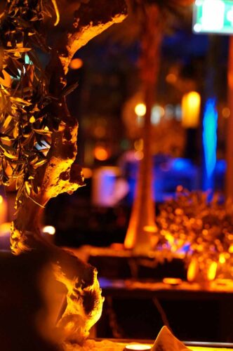 shishabar hamburg - shisha bar - shisha-bar